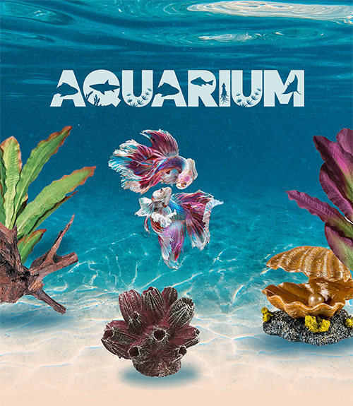 Aquarium Catalogue 2024
