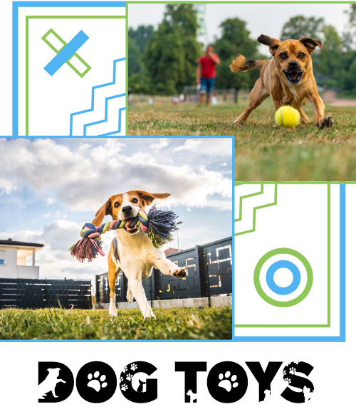 Dog Toys Catalogue 2024