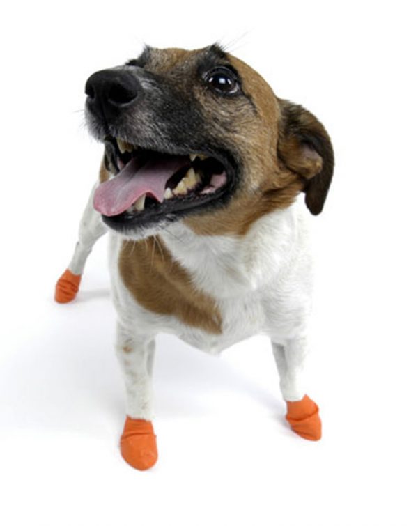 PAWZ Boots - X-Small 12pk - Image 2