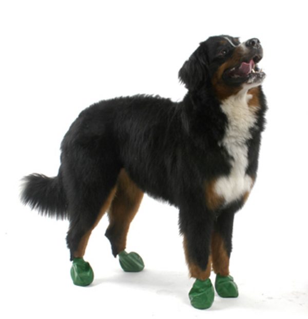 PAWZ Boots - X-Large 12pk - Image 2