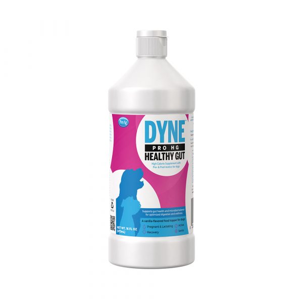 PETAG Dyne Pro Healthy Gut 16 oz