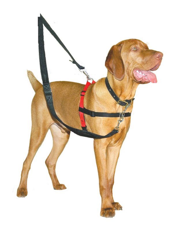 HALTI Harness - Medium - Image 3