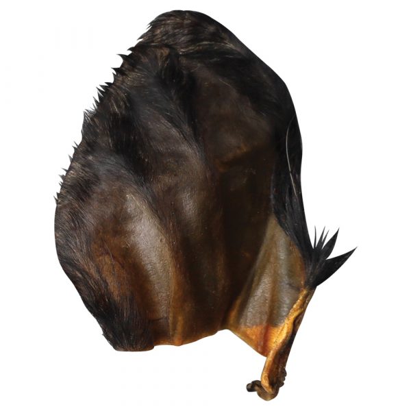 QT Dog Water Buffalo Ear w/ Hair - 10pk - Image 2