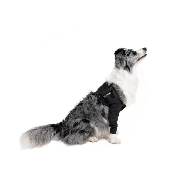 Suitical Recovery Dble Slve-Dog-Bk S