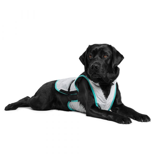 Suitical DRY Cooling Vest - Dog L