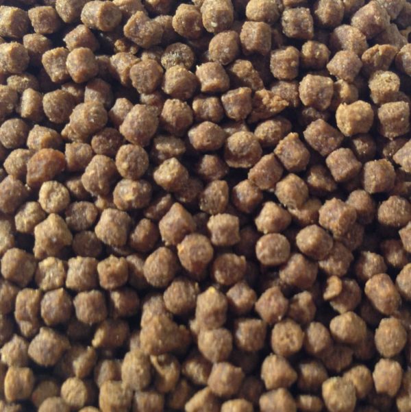 OMEGA ONE Hermit Crab pellets 1.2 oz - Image 2