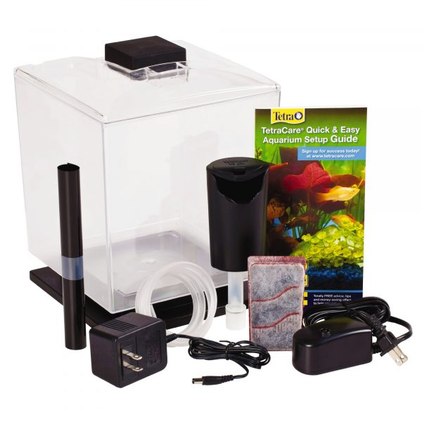 GLOFISH Betta Aquarium Kit 1.5G - Image 3