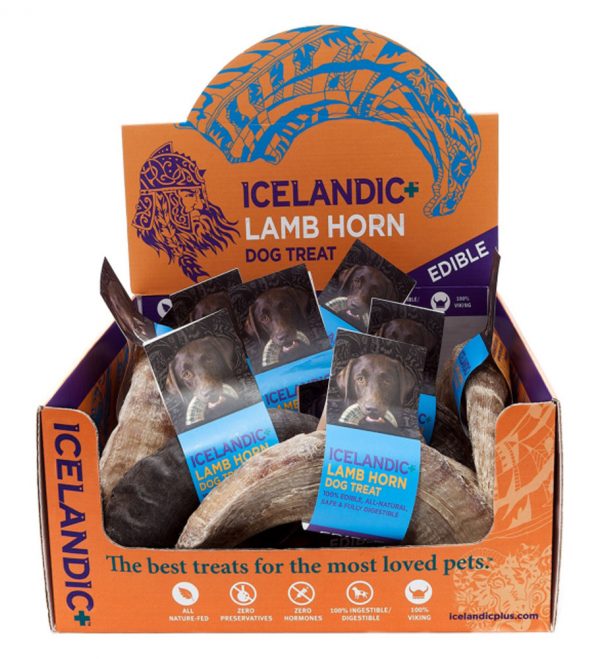 ICELANDIC+ Lamb Horn Display (12)