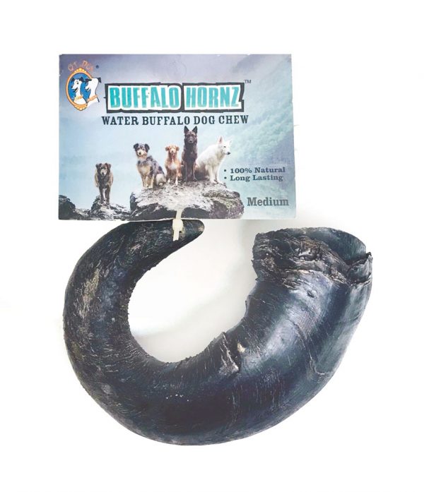 QT DOG Buffalo Horn Medium