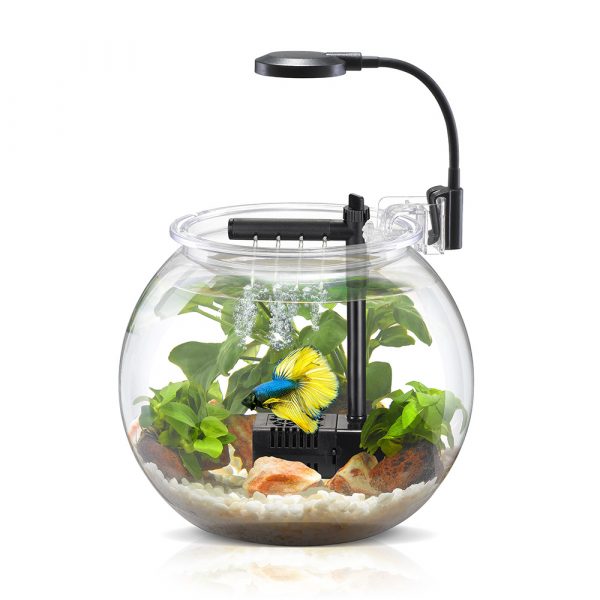 NUBIOS Desktop Betta Bowl Kit 4L - Image 6