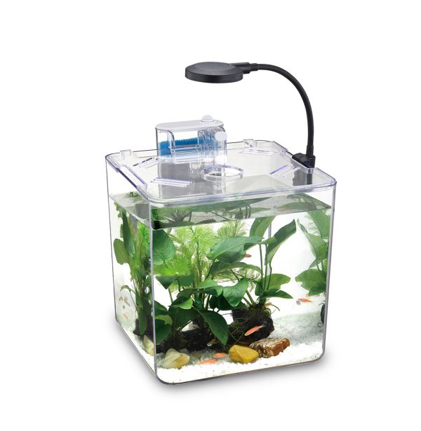 NUBIOS Desktop Betta Bowl-Square NB-132S - Image 2