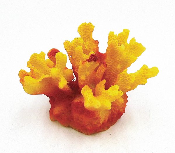 AQUA-FIT Polyresin Staghorn Coral 2x2x1.75in