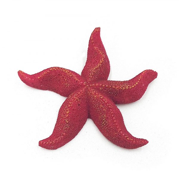 AQUA-FIT Polyresin Starfish 2.75x2.75x0.5in