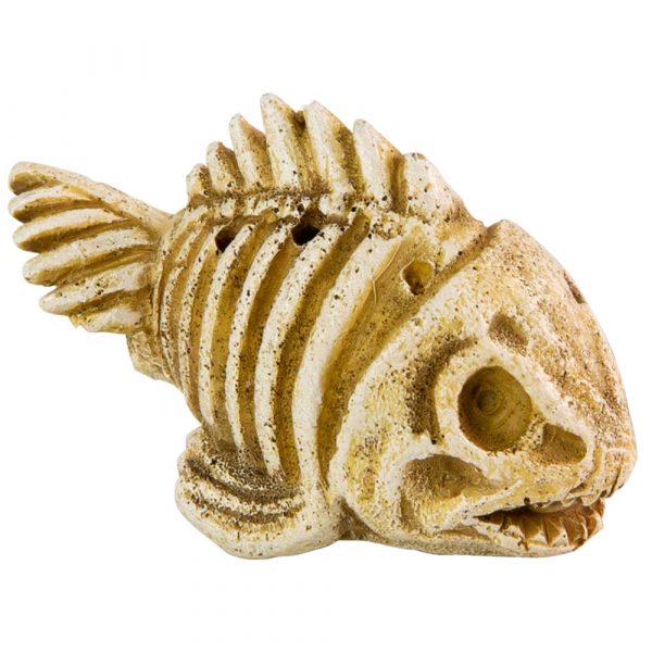 AQUA-FIT Polyresin Fish Skeleton 3x1.5x2"