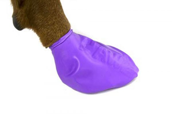 PAWZ Boots - Large 12pk - Image 3