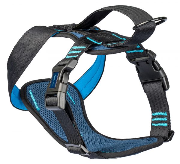 HALTI CarSafe Crash Tested Dog Harness Blue X Small - Image 2