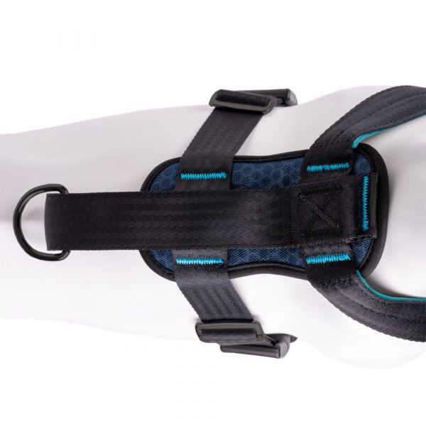 HALTI CarSafe Crash Tested Dog Harness Blue X Small - Image 5