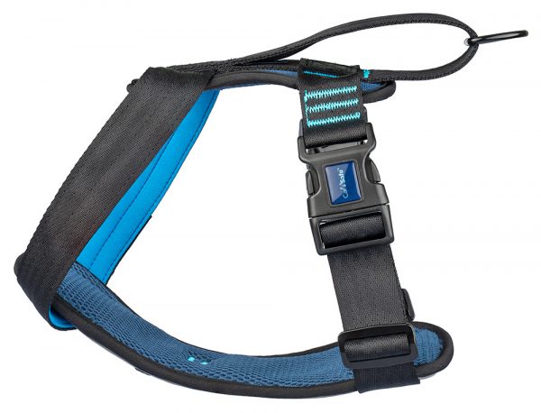 HALTI CarSafe Crash Tested Dog Harness Blue Small - Image 3