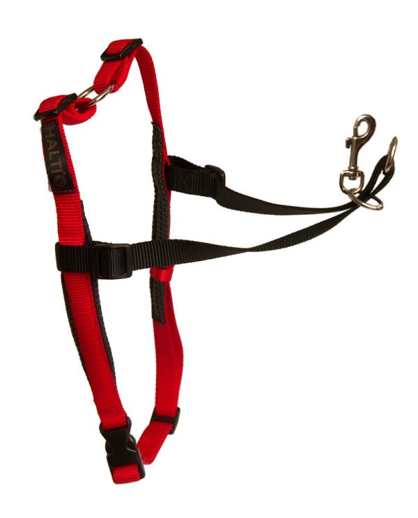 HALTI Harness - Small - Image 3