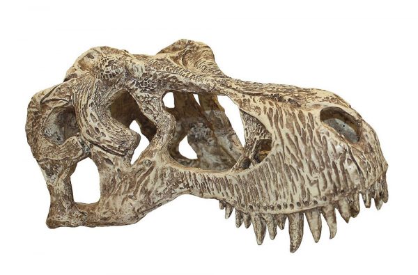 KOMODO T-Rex Skull Small