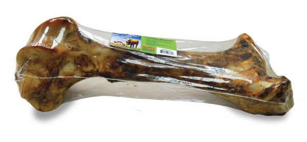 BULLSTERS T Rex Femur 16in (6)