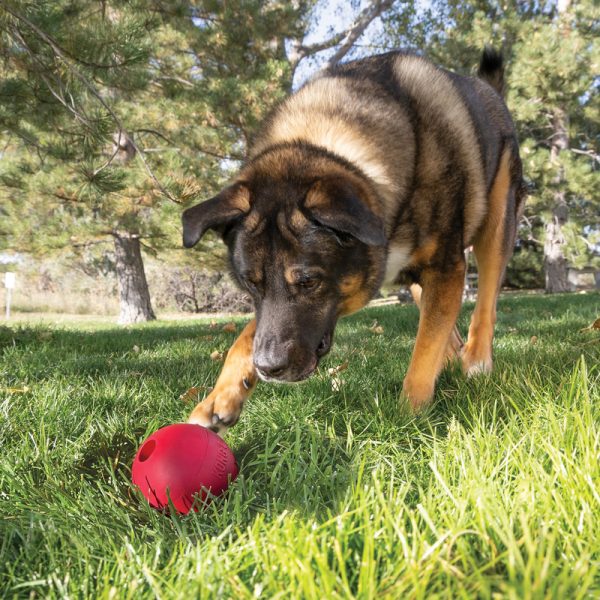 KONG Ball w/Hole L - Image 3