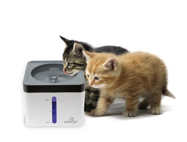 PIONEER Mini Vortex Pet Fountain 80 OZ - Image 2