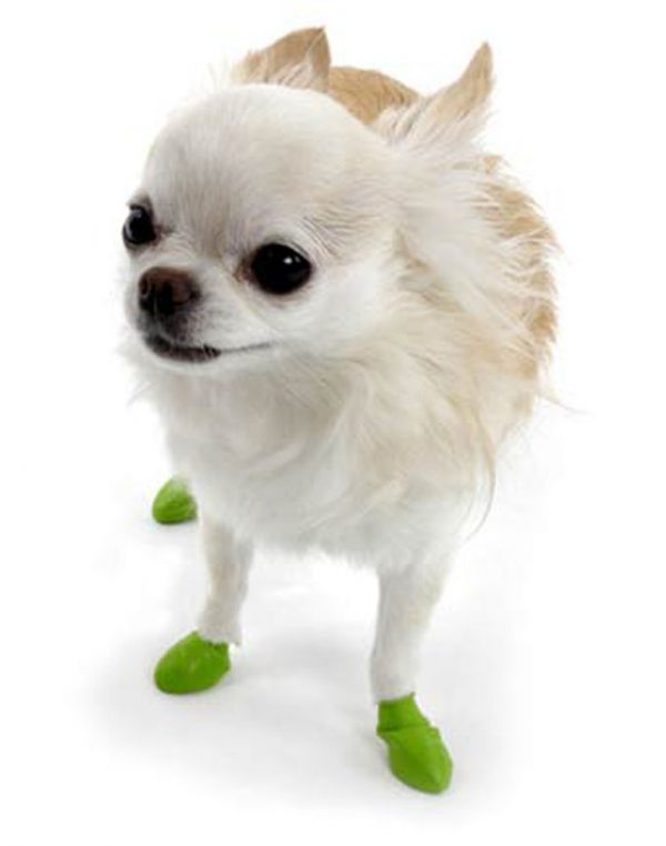 PAWZ Boots - Tiny 12pk - Image 2