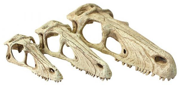 KOMODO Raptor Skull Small