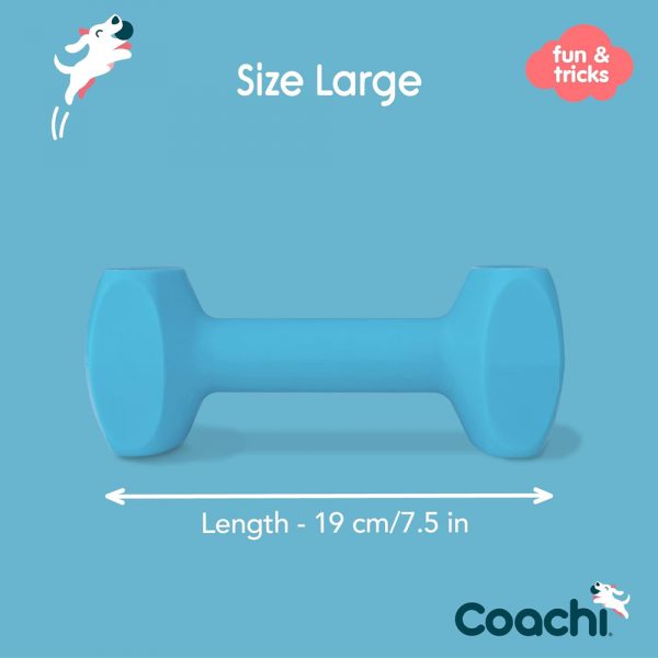 COACHI Training Dumbbell Light Blue Large - Image 2