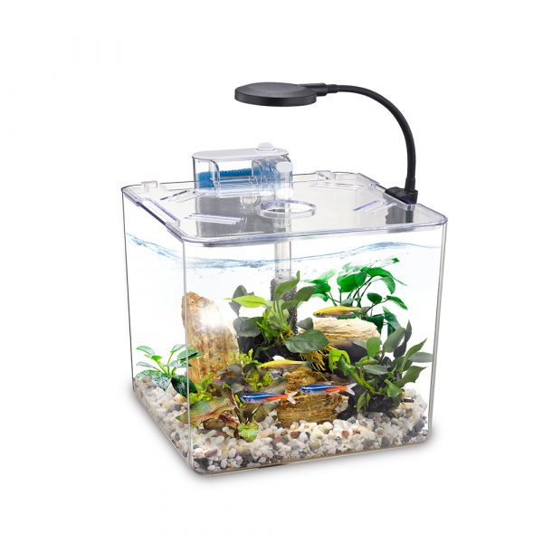 NUBIOS Desktop Betta Bowl-Square NB-395S - Image 2