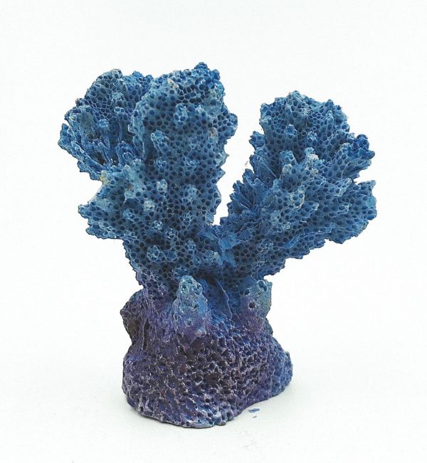 AQUA-FIT Polyresin Colt Coral 2x1.5x2in