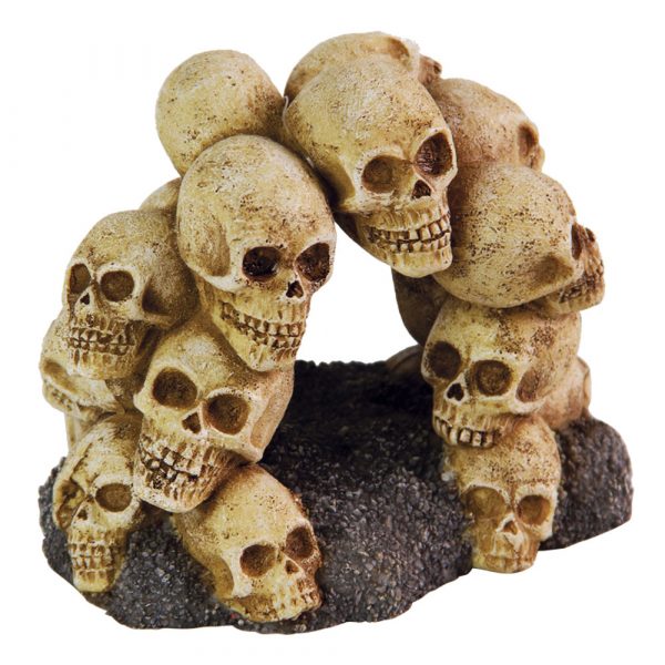 AQUA-FIT Polyresin Skull Arch 5.25x4x4"