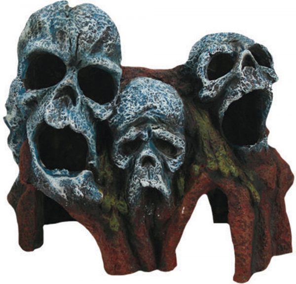 AQUA-FIT Polyresin Tree Root Skulls 7x4x6in