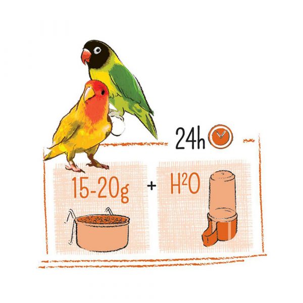 PUUR Lovebird 2 KG - Image 4