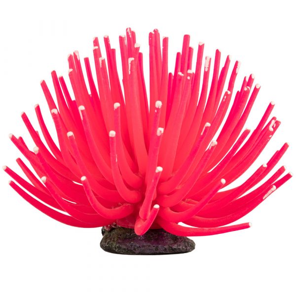 GLOFISH Anemone Pink -Lg 1 CT - Image 2