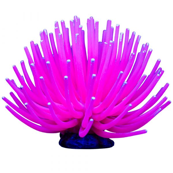 GLOFISH Anemone Pink -Lg 1 CT - Image 3
