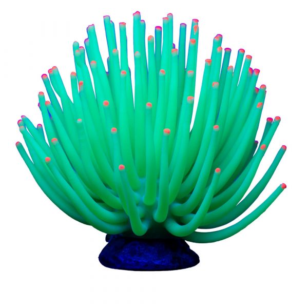 GLOFISH Anemone Green Lg 1CT - Image 3