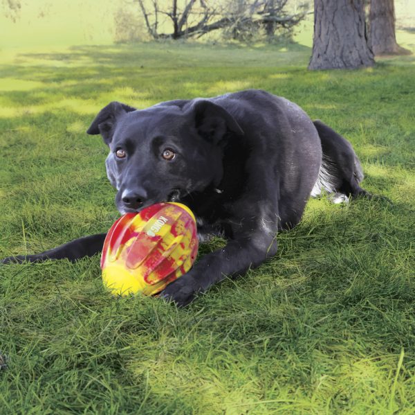 KONG Flexball Sport Football Md - Image 3