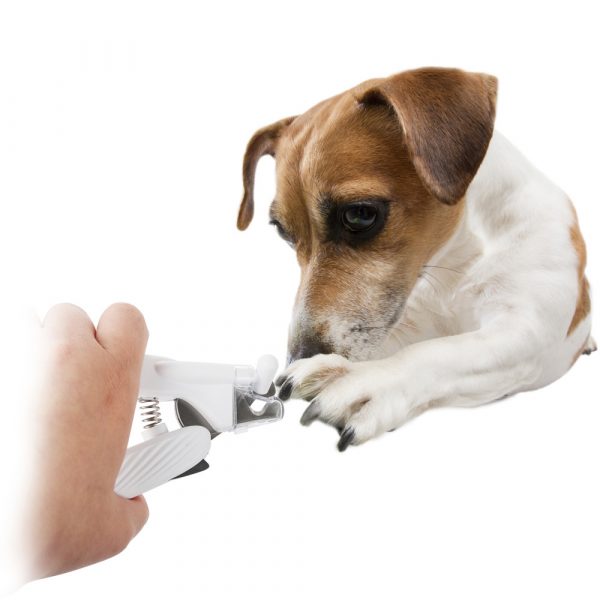 ALL FOR PAWS Pet Salon LED Nail Clipper - Image 2