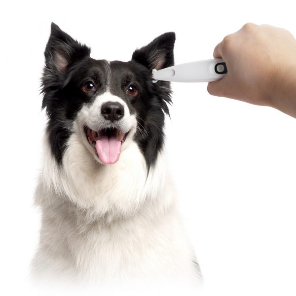 ALL FOR PAWS Pet Hair Trimmer - Image 3