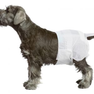 PAWISE Disposable Diapers - 12pack XL