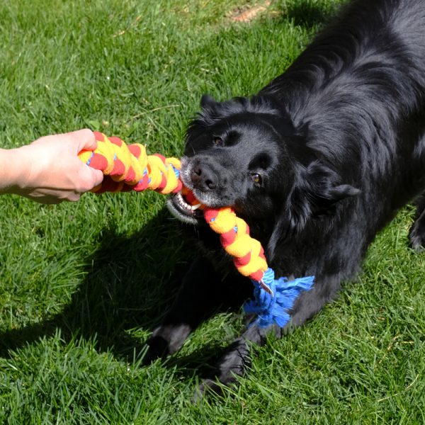 KONG Rope Rally Tug Md/Lg - Image 3