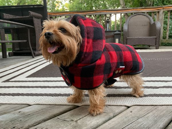 DOGGIE-Q Lumberjacket Red 8" - Image 4