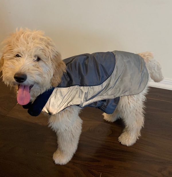 DOGGIE-Q Camo Taffeta Reflective Jacket 8" - Image 3