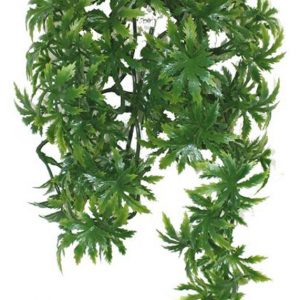 KOMODO Papaya Leaf Vine 45cm