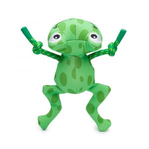 FABDOG Frog Floatie