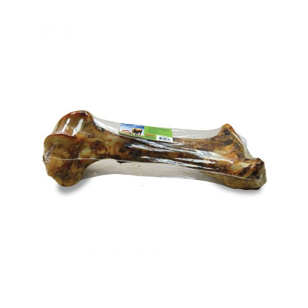 BULLSTERS T Rex Femur 16in (6)