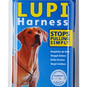 LUPI - Large