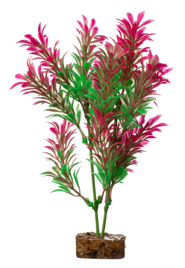 GLOFISH Plant Small Green/Pink - Image 2